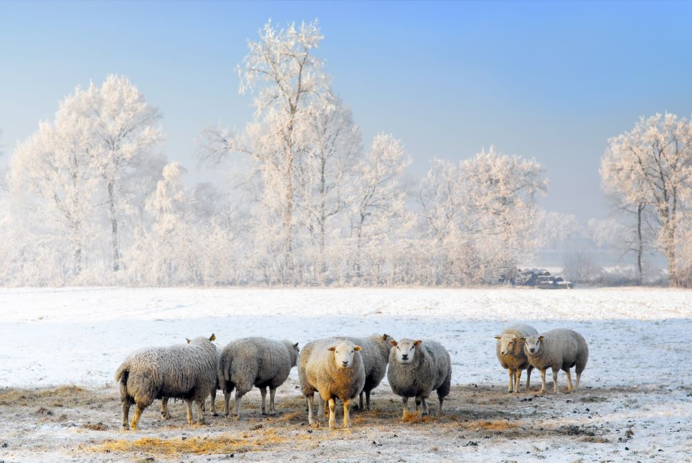 The-Farming-Year-December Chestnut Mill