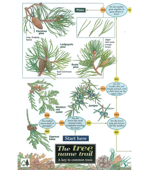 Field Guide - Tree Name Trail