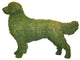 Topiary Dog Golden Retriever
