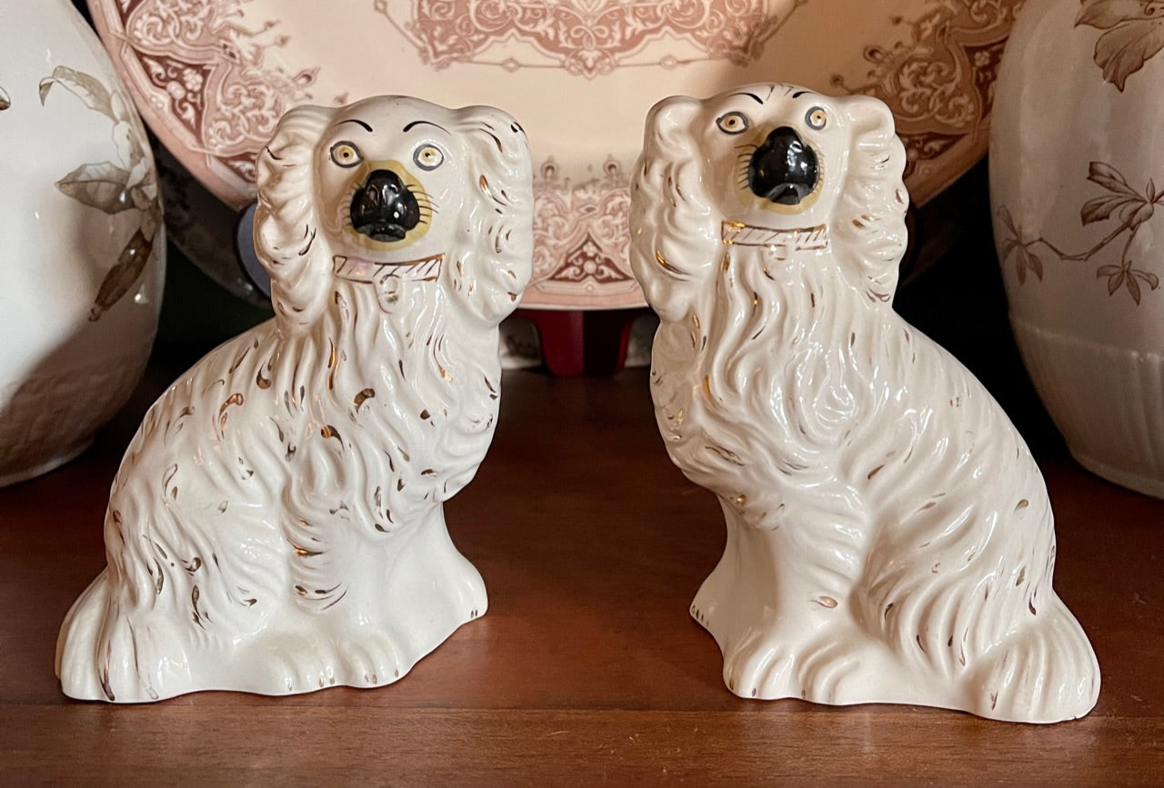 Pair White Long Hair Staffordshire King Charles Cavalier Spaniel Dogs English Country Decor