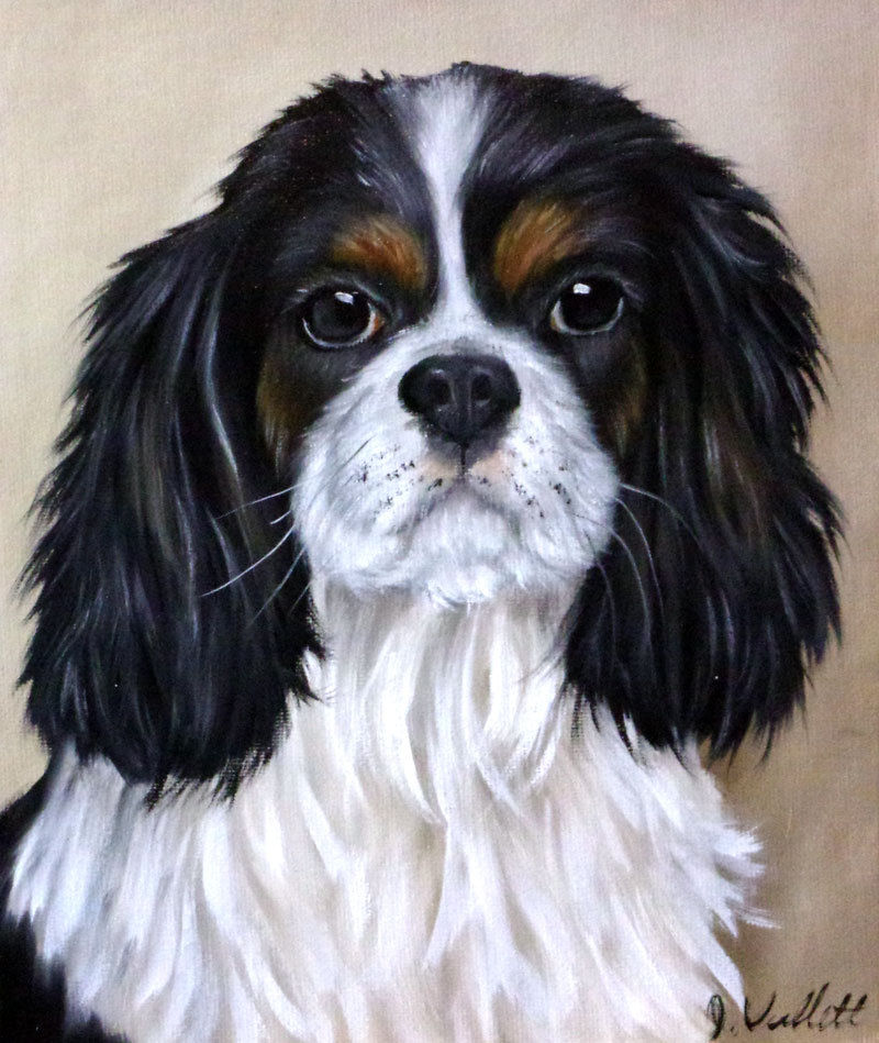 original cavalier king charles spaniel