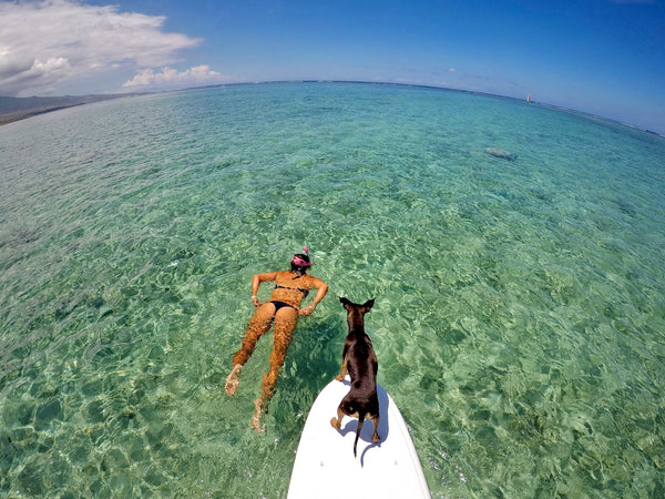 Ludovic Cafafa in Reunion. Surfer Couple life 2