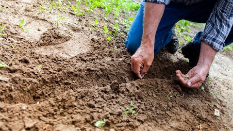 Cultivator plants directly into soil outdoors. Photo taken by Binyamin Mellish via an open commercial use license from Pexels