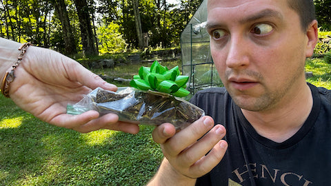 A shocked but grateful person getting a gift of Black Strap flowers