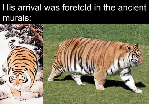 tiger meme 