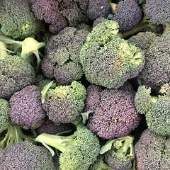 Fresh grown broccoli harvest from BatCrow Farms in Sophia North Carolina
