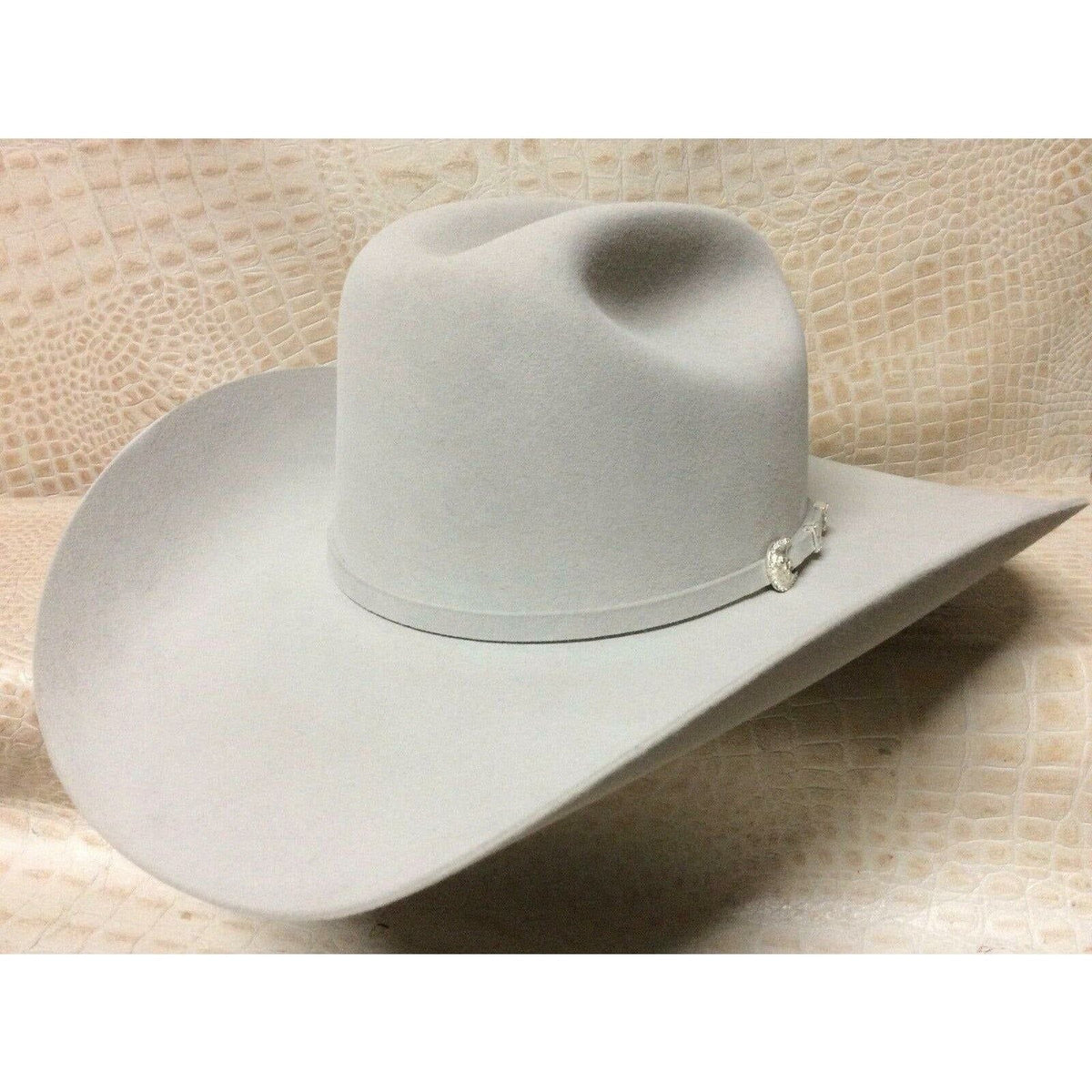 Stetson Shasta Mist Grey 10X Beaver Fur Felt Western Cowboy Hat ...