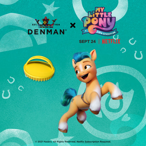 My Little Pony - Hitch - Denman D6 Be Bop Handy Detangler