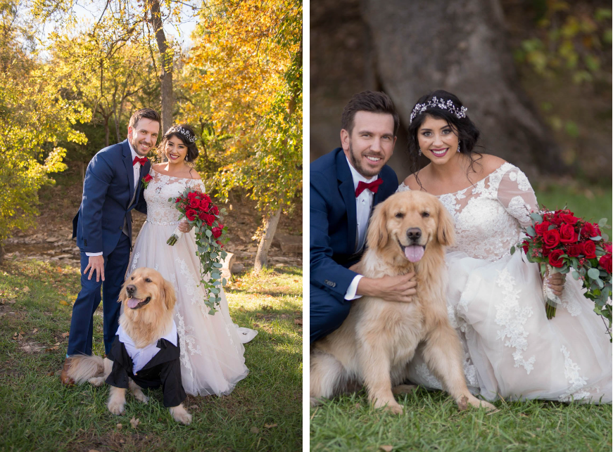 A bride and groom take wedding pictures with their dog