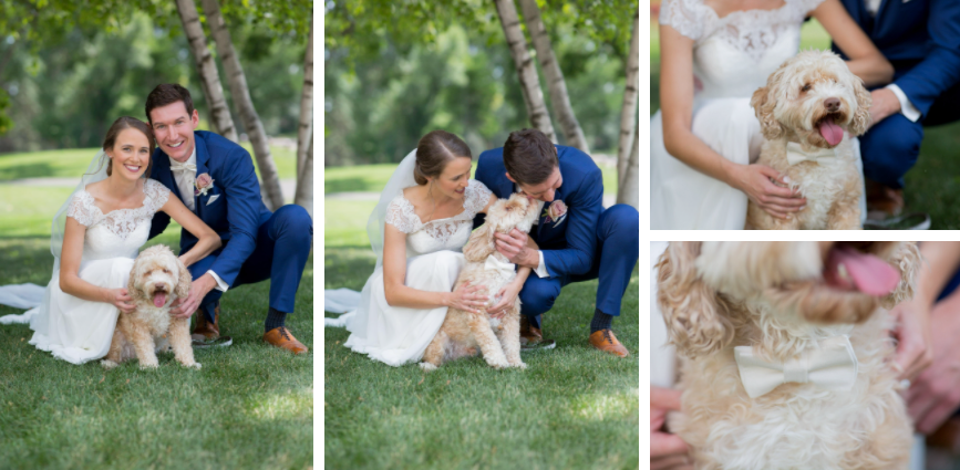 Four images show a bride and groom posing with their dog