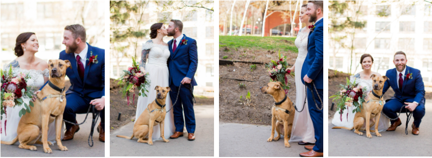 A bride and groom include their dog in their wedding pictures