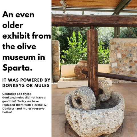 Ancient stone olive mill