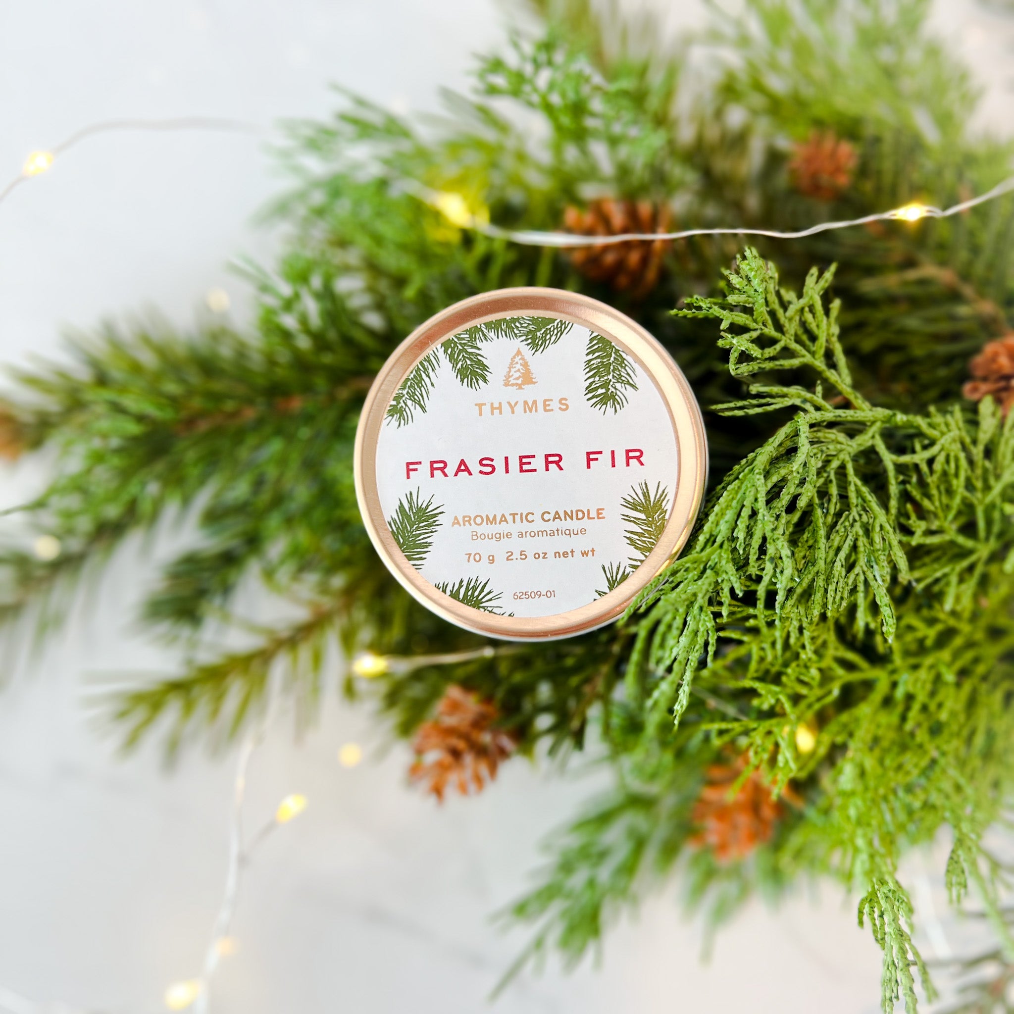 FRASIER FIR PINE NEEDLE CANDLE by THYMES – FAN TAN HOME & STYLE