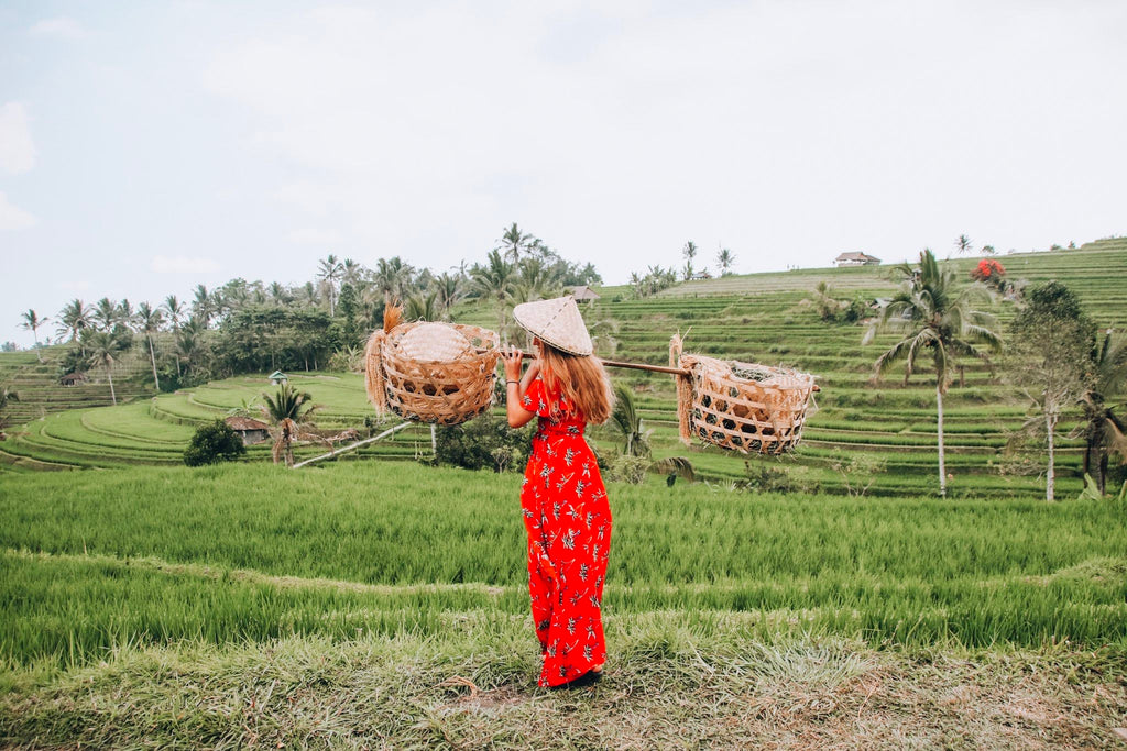 the-adventure-dress-travel-carry-on