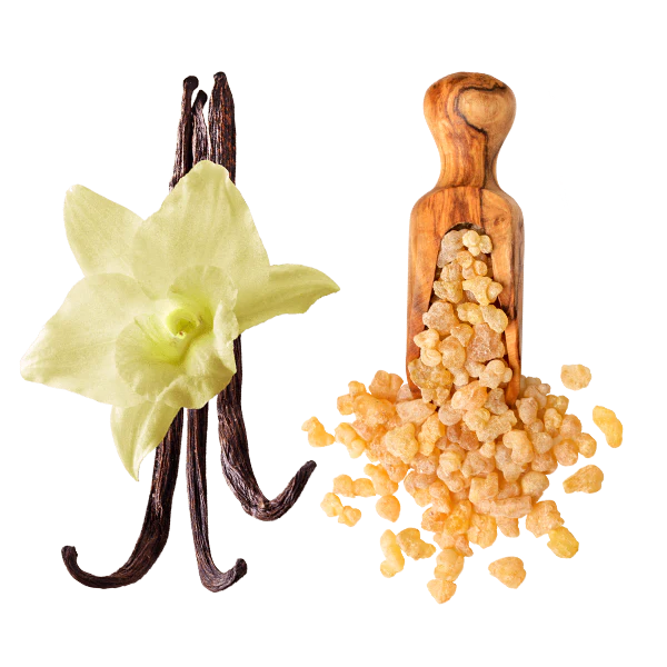 Vaniglia e incenso naturale su sfondo bianco, ingredienti aromatici ayurvedici per il benessere della pelle