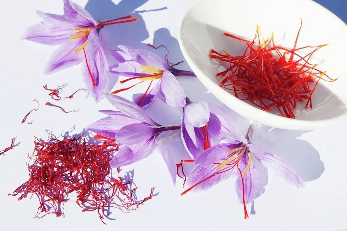 Saffron - iYURA's Kesaradi Oil's Freshly Sourced Skin Brightener 