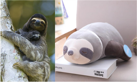 sloth squishy pillow