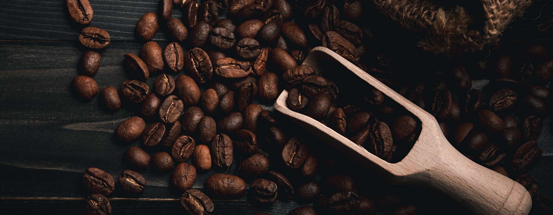 A Beginner’s Guide on How to Become a Home Barista - use your own beans, blog by EspressoWorks