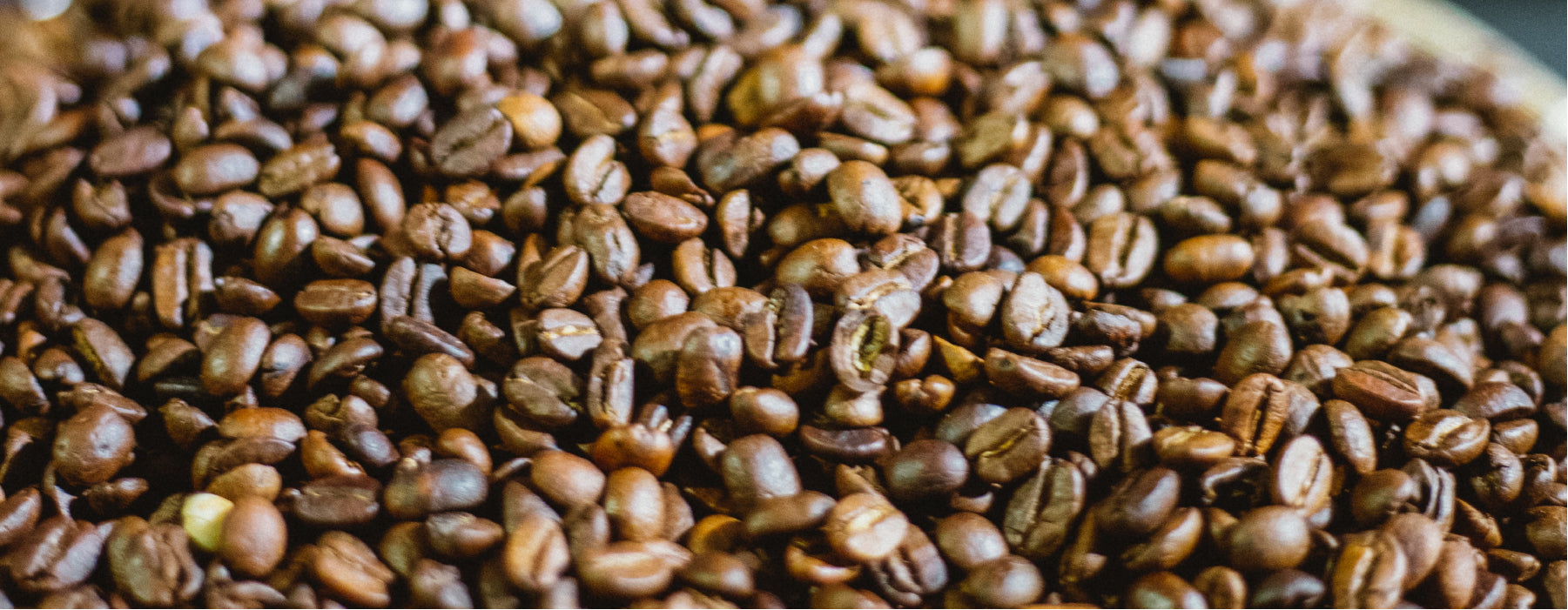 What Is Arabica Coffee?