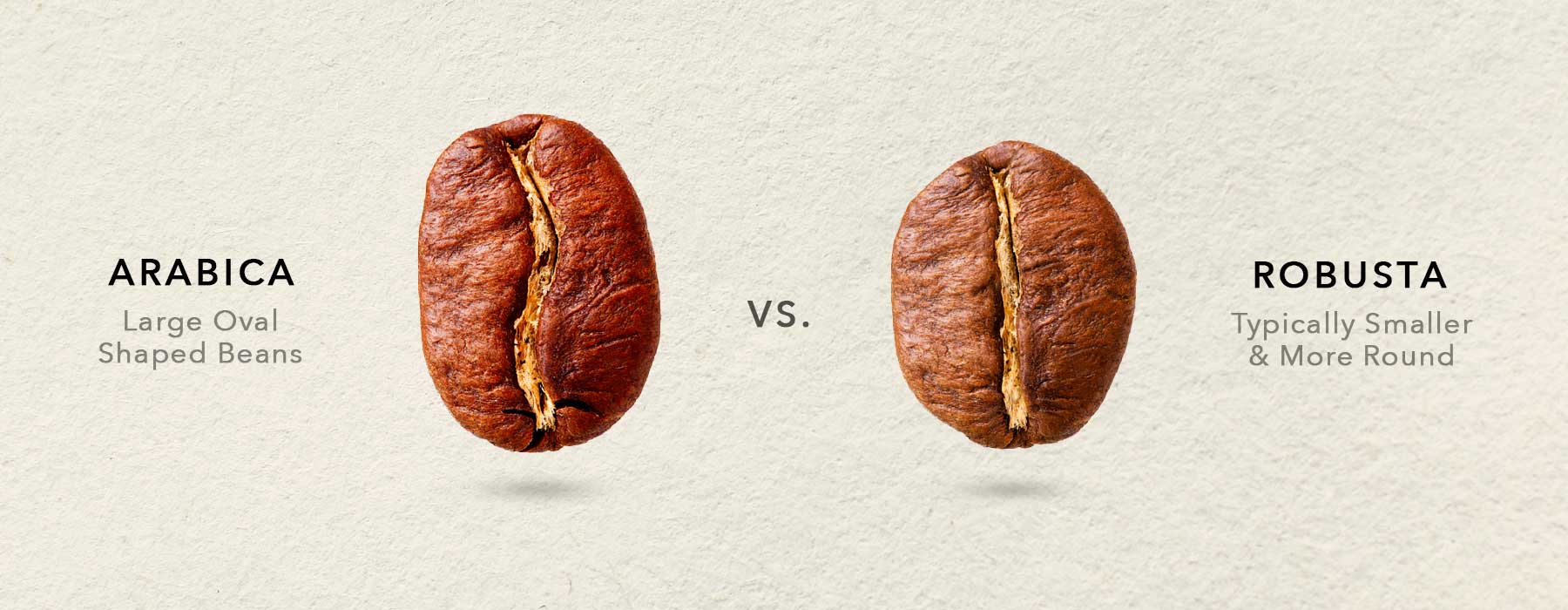 Difference between Arabica coffee beans and Robusta coffee beans