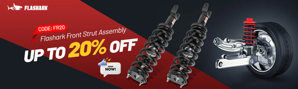 Front Strut Assembly