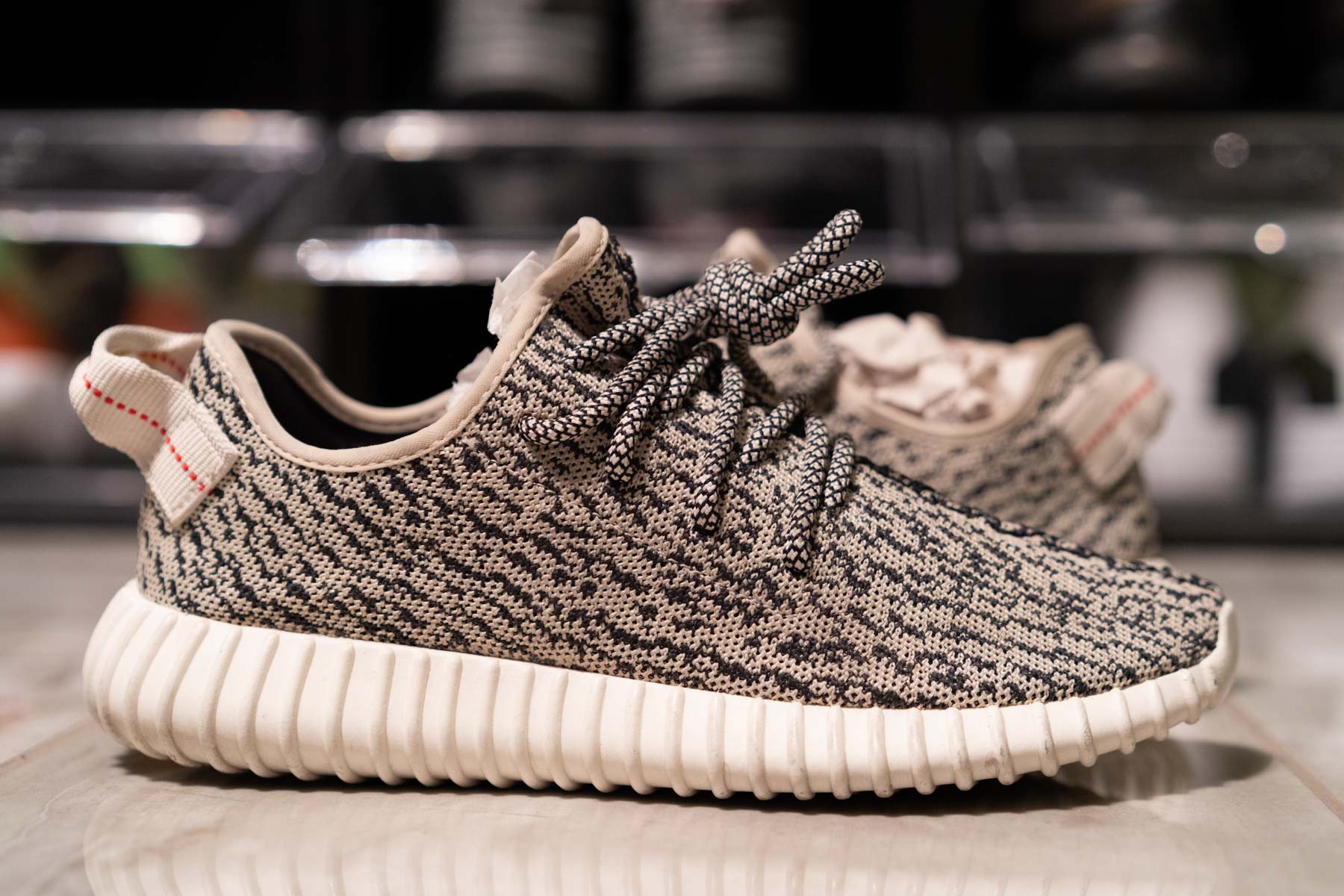 yeezy 360 turtle