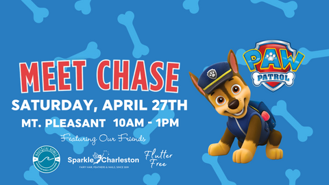 Meet Chase from Paw Patrol!