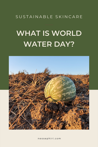 What is world water day?