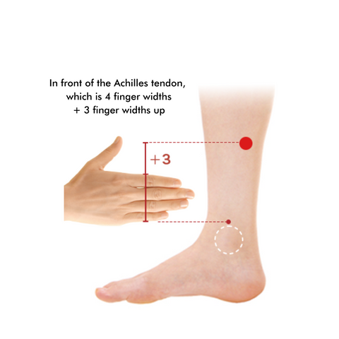 Achilles Tendon