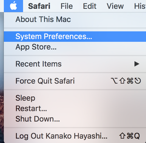 Click “System Preferences…”