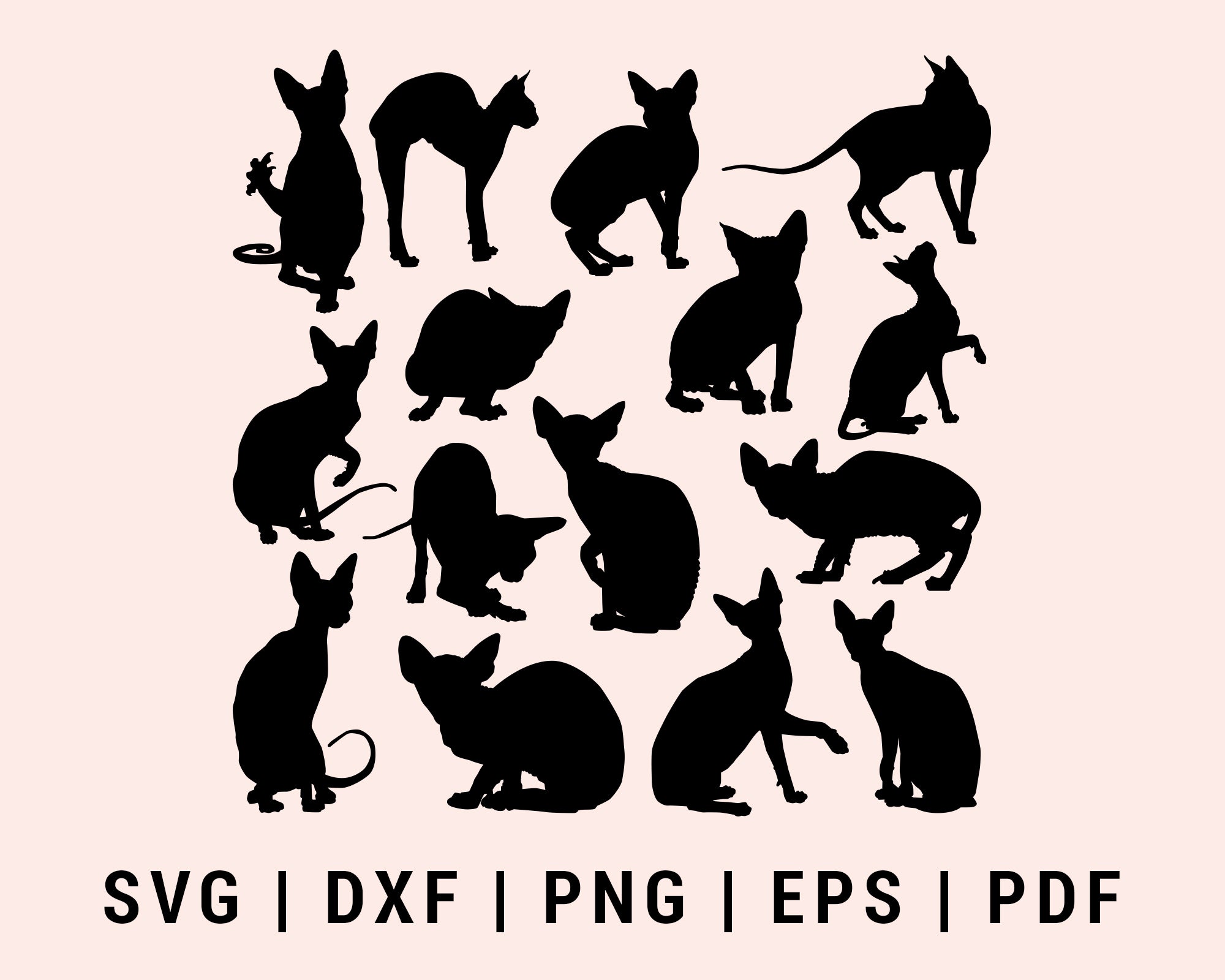 Download Sphynx Cats Svg Creativedesignmaker