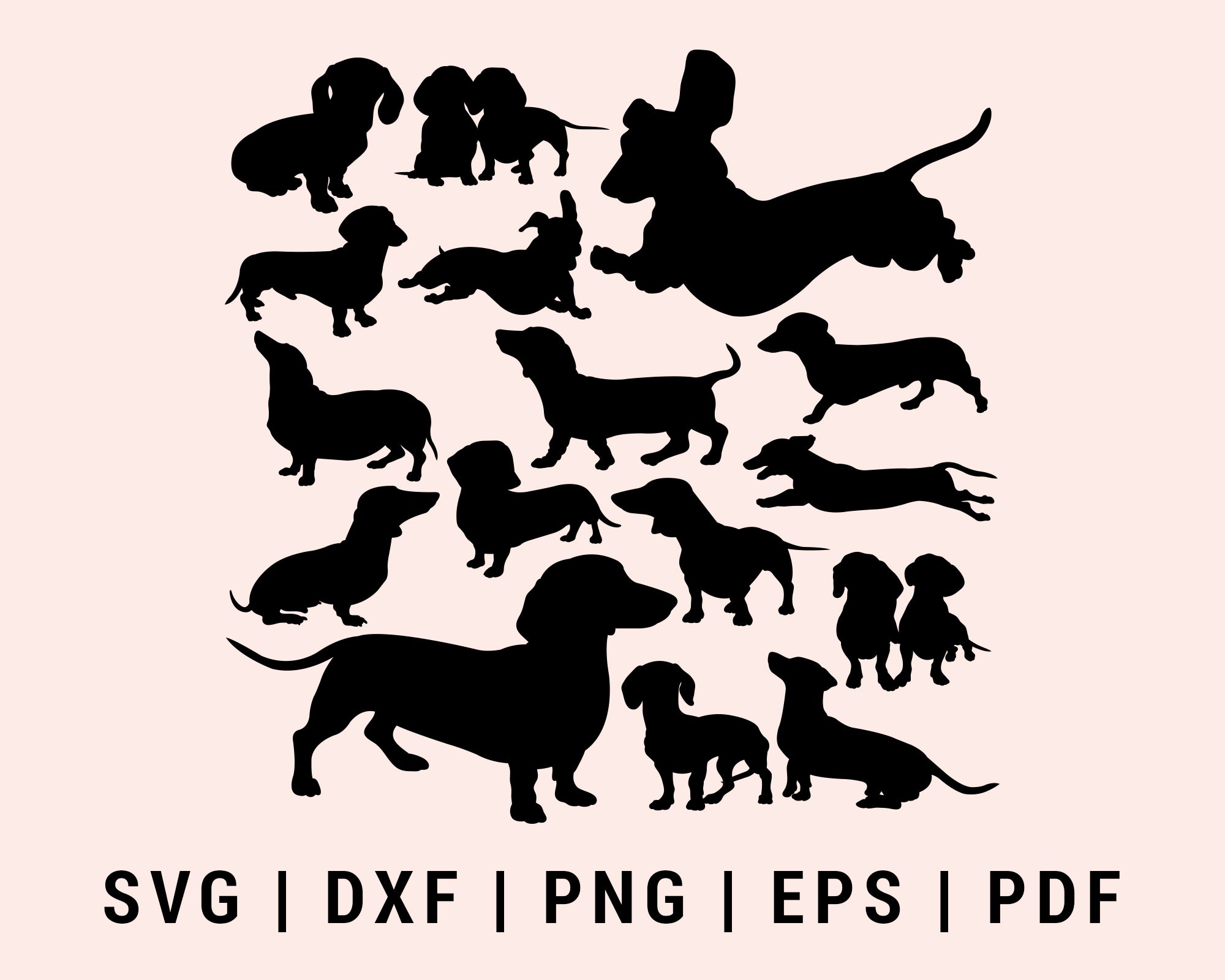 Download Dachshund Dog Svg Creativedesignmaker