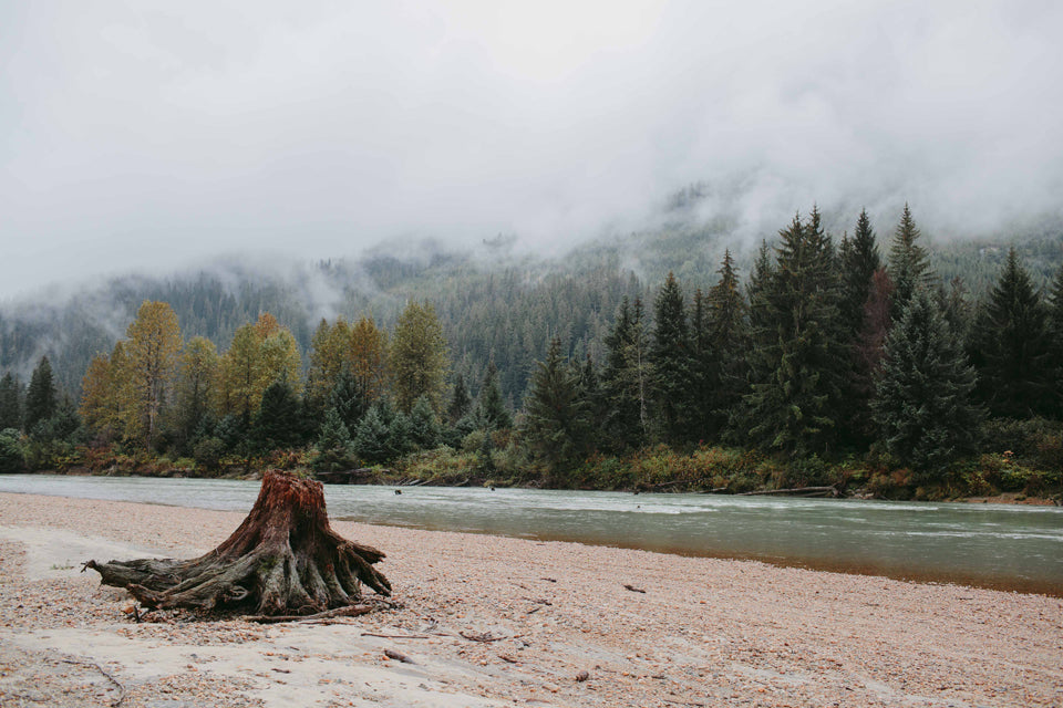 mike seehagel travel northern bc