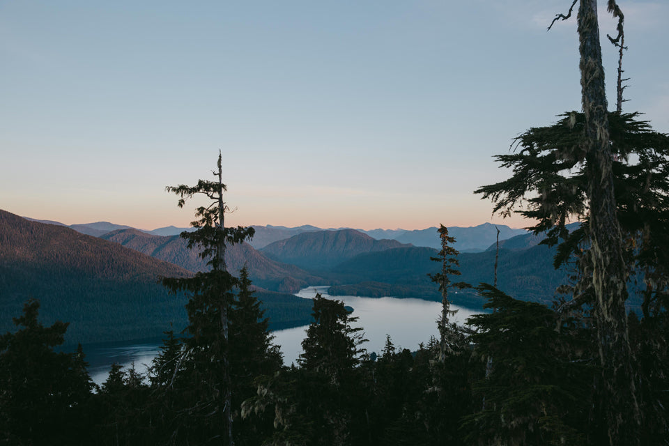 tall trees hike prince rupert mike seehagel