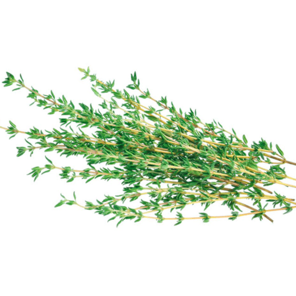 Vegetable Herb Thyme (Malaysia) (50g)