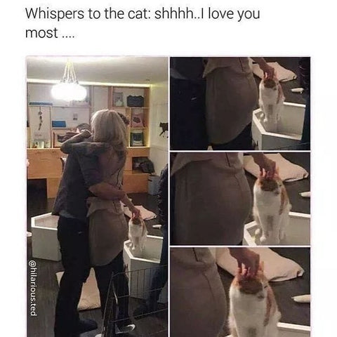 i love you the most kitty funny cat meme