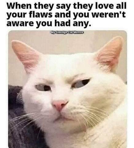 when they say they love you with your flaws funny white cat face