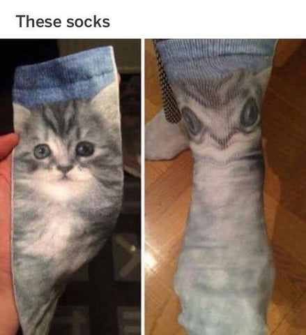 funny creepy cat print socks distorted