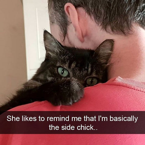 she likes to remind me that i'm the side chick cute cat hugging man