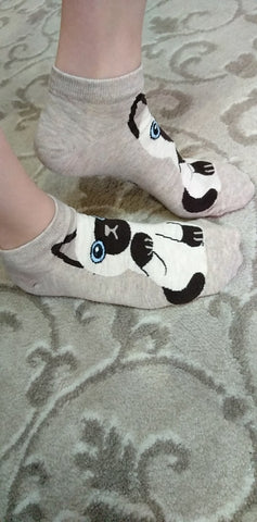 Socks Bundle - Cute Cat breeds -5 pairs – Meow Town