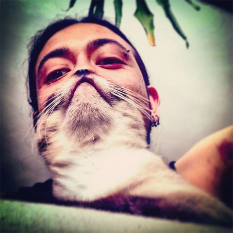 happy cat beard photo funny