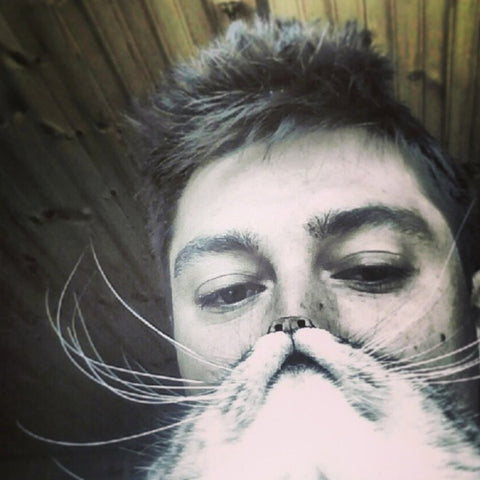 funny cat beard photo top 10