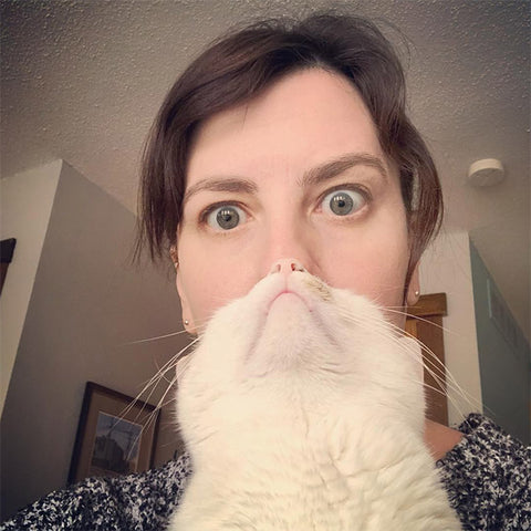 funny cat beard collection