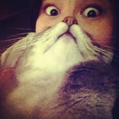 surprised cat beard funny