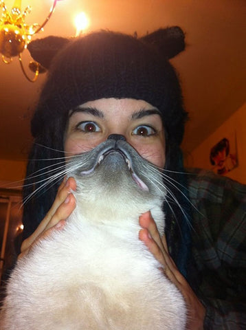 funny cat beard photo