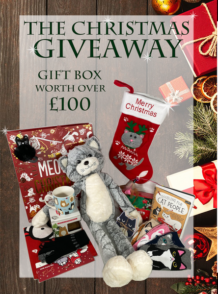 christmas giveaway gift box for cat people