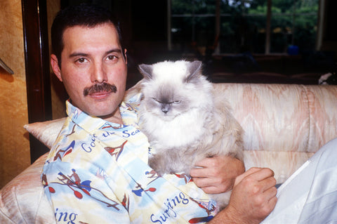 Freddie Mercury cat lover
