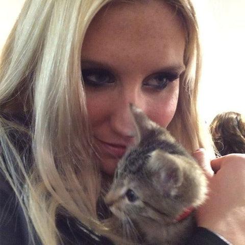 Kesha the crazy cat lady