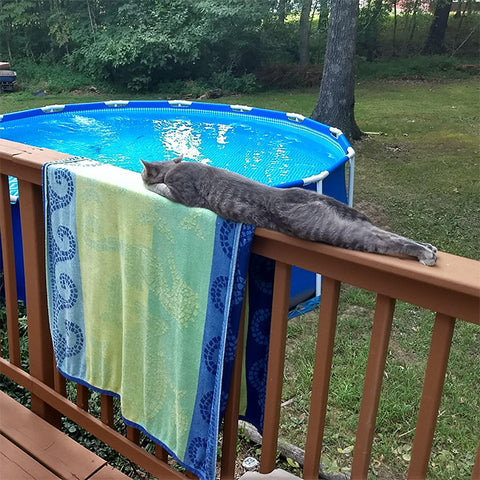 outdoor cat sleeping elongated liquid form