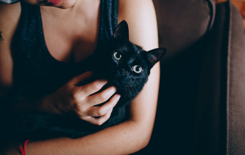 woman is petting a cute black cat